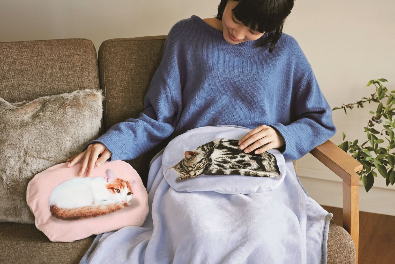ひざの上で猫がゴロゴロくつろぐ、クッションブランケットが登場