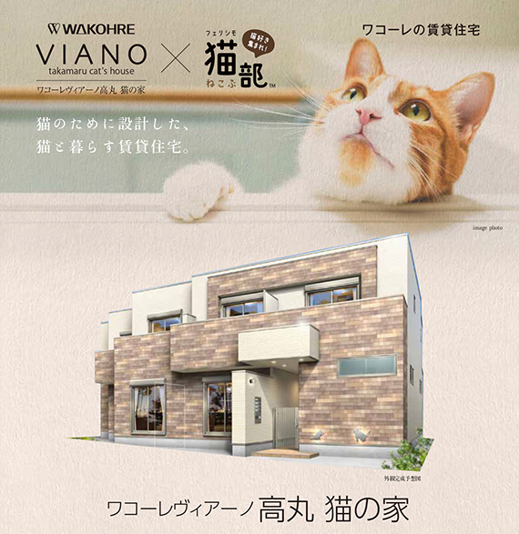 猫のために設計した賃貸「猫の家」が完成！和田興産とフェリシモ猫部が