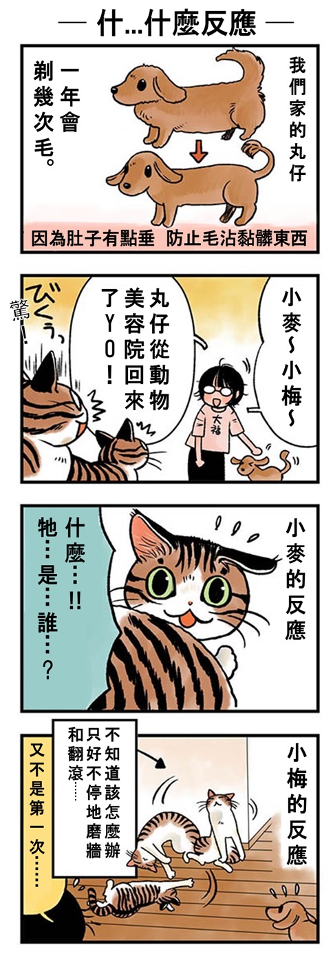★山野りんりん猫まみれ漫画★33話-1.jpg