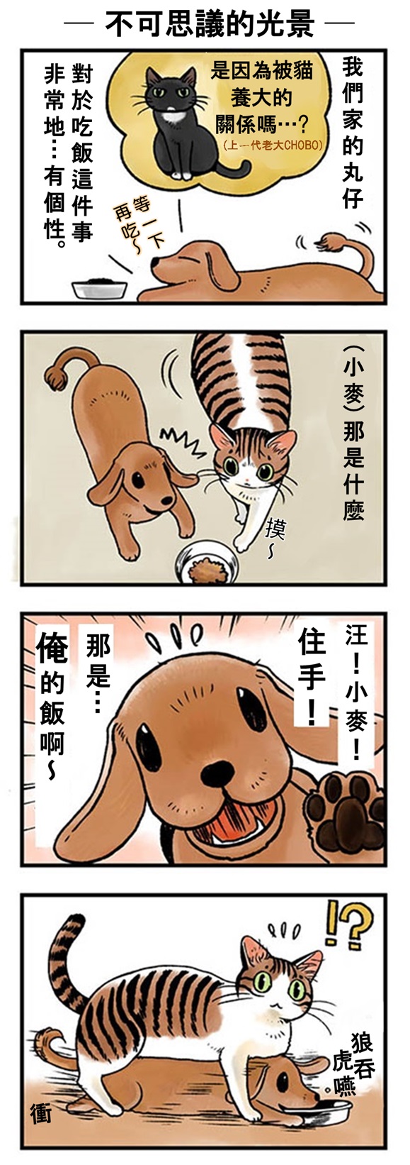 ★山野りんりん猫まみれ漫画★33話-2.jpg