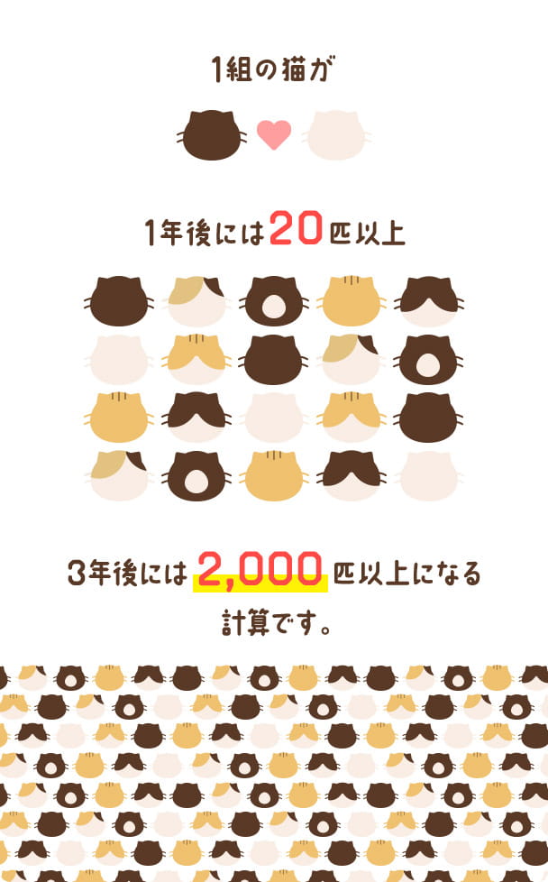 1組の猫が1年後には20匹以上。3年後には2,000匹以上になる計算です。