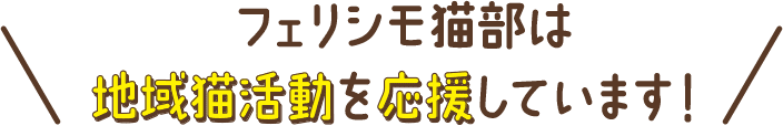 フェリシモ「猫部」は地域猫活動を応援しています！