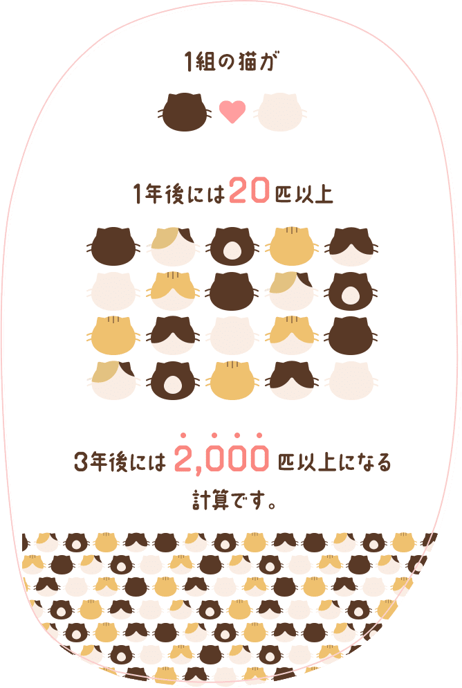 1組の猫が1年後には20匹以上。3年後には2,000匹以上になる計算です。