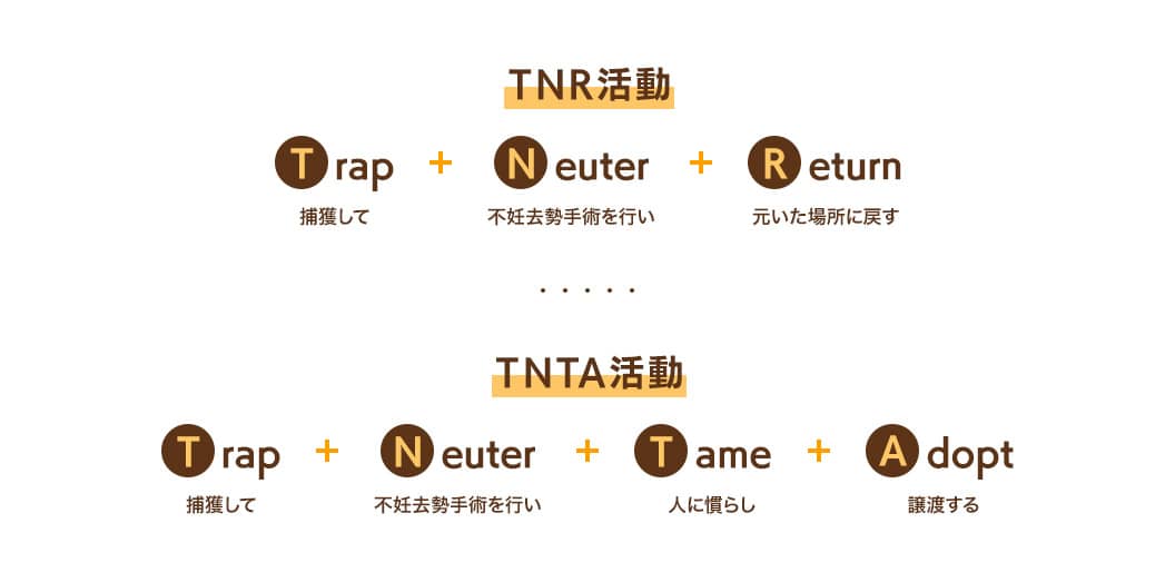 [TNR活動]Trap(捕獲して)+Neuter(不妊去勢手術を行い)+Return(元いた場所に戻す)[TNTA活動]Trap(捕獲して)+Neuter(不妊去勢手術を行い)+Tame(人に慣らし)+Adopt(譲渡する)