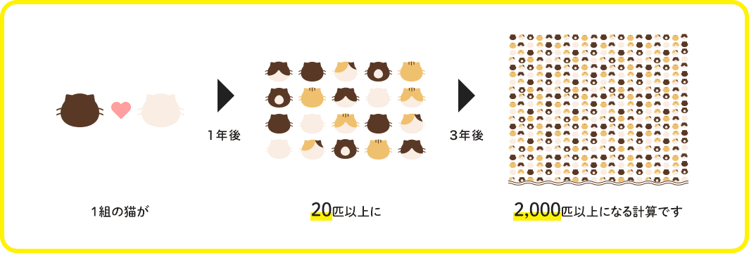 一組の猫が → [一年後]20匹以上に → [3年後]2000匹以上になる計算です