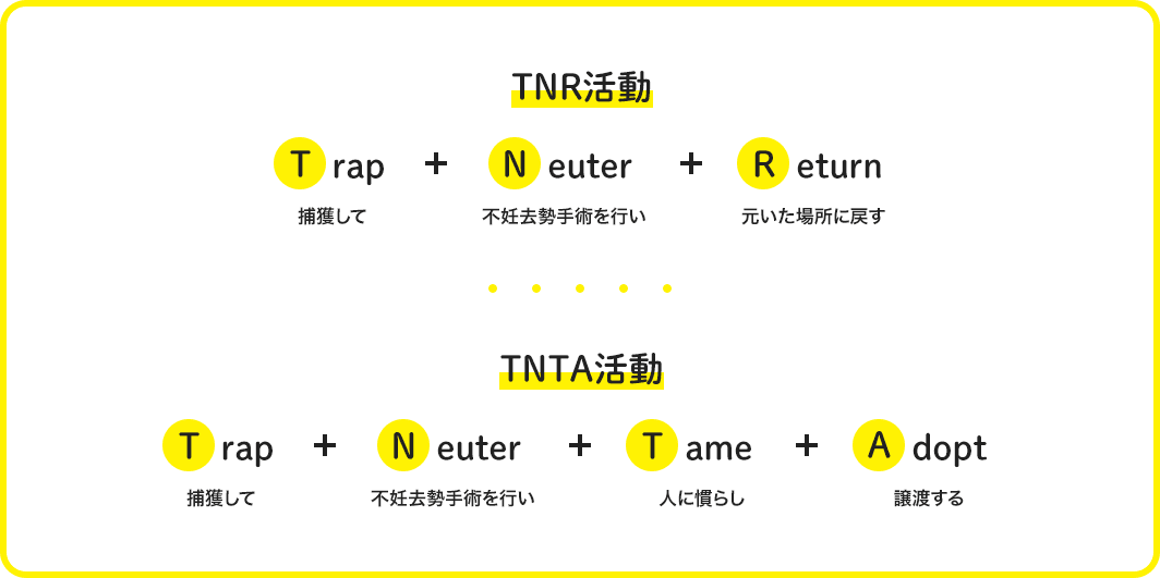 [TNR活動]Trap（捕獲して）+ Neuter（不妊去勢手術を行い）+ Return(元いた場所に戻す) [TNTA活動]Trap（捕獲して）+ Neuter（不妊去勢手術を行い）+ Tame(人に慣らし)）+ Adopt(譲渡する)