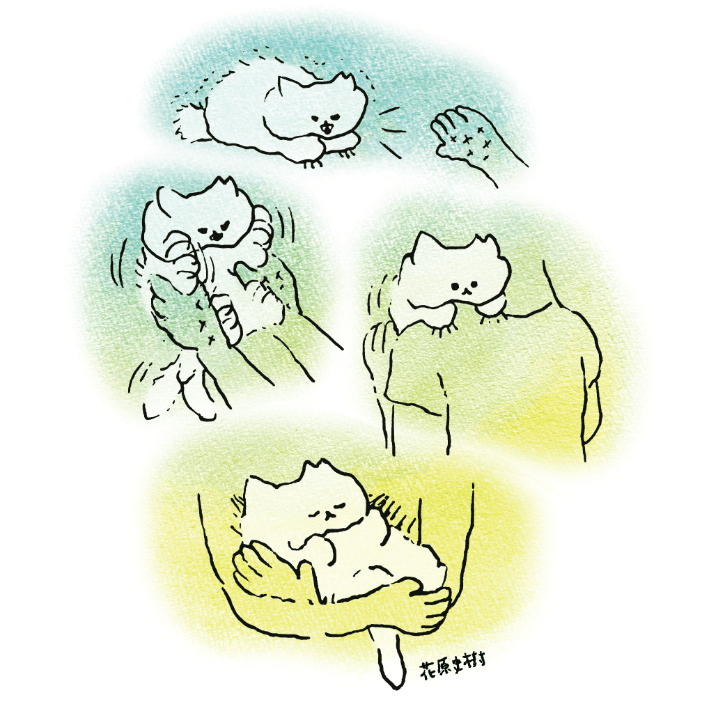 花原史樹 コラボイラスト