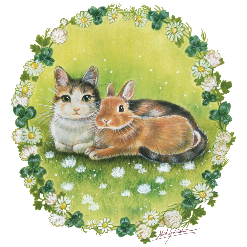 しらとあきこ コラボイラスト