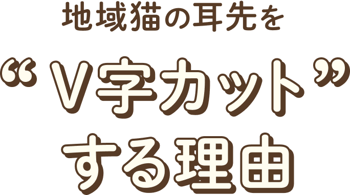 地域猫の耳先をV字カットする理由