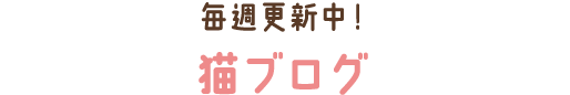 毎週更新中！ 猫ブログ