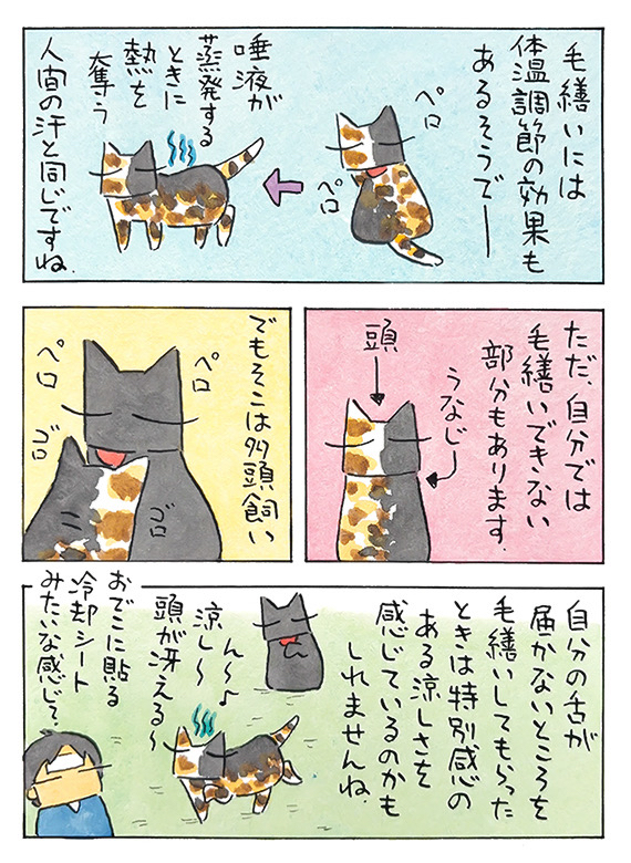 久保_2026_06_07_2.jpg