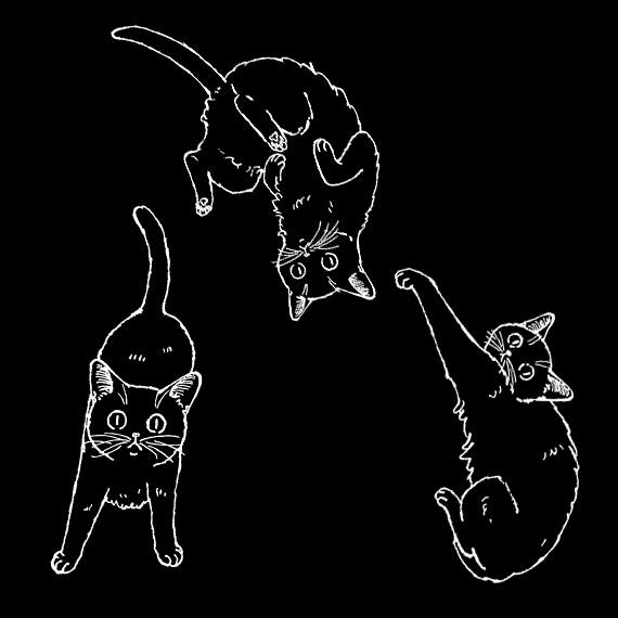 黒猫.jpg