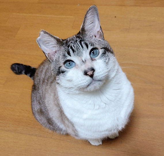 9-とらIMG01093~2.jpg