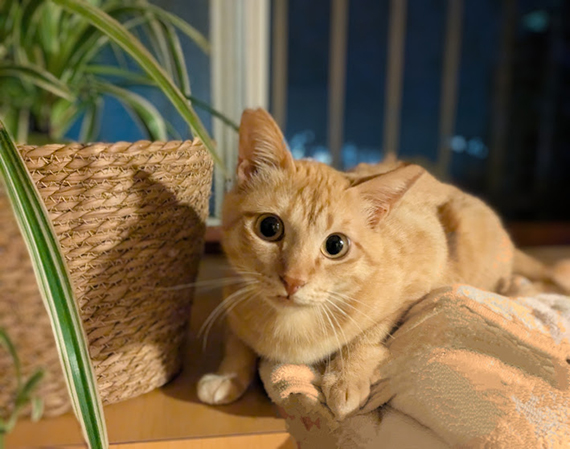 坊1.jpg