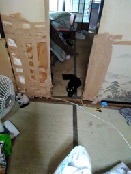 家の中の様子.jpg