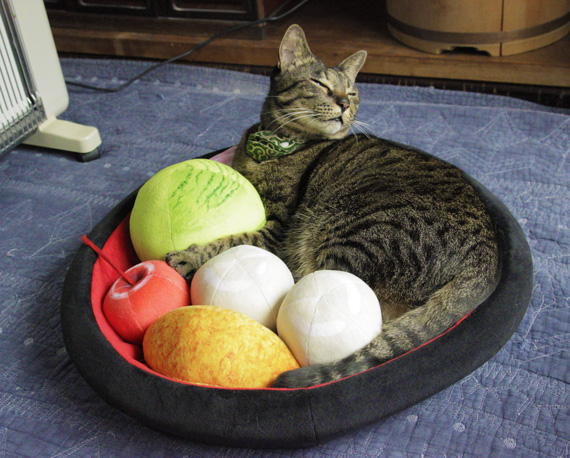 和のおもてニャし あんみつにゃんこクッション 完成！│フェリシモ猫部