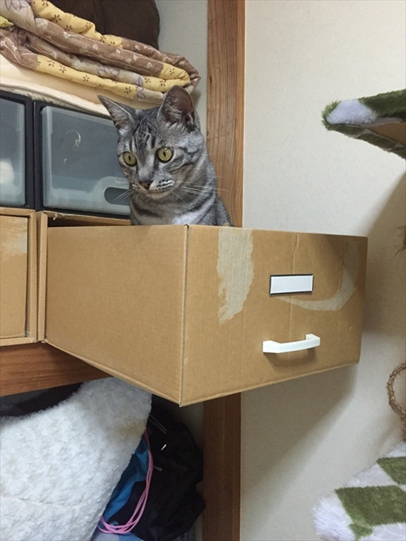 20151003-013.jpg
