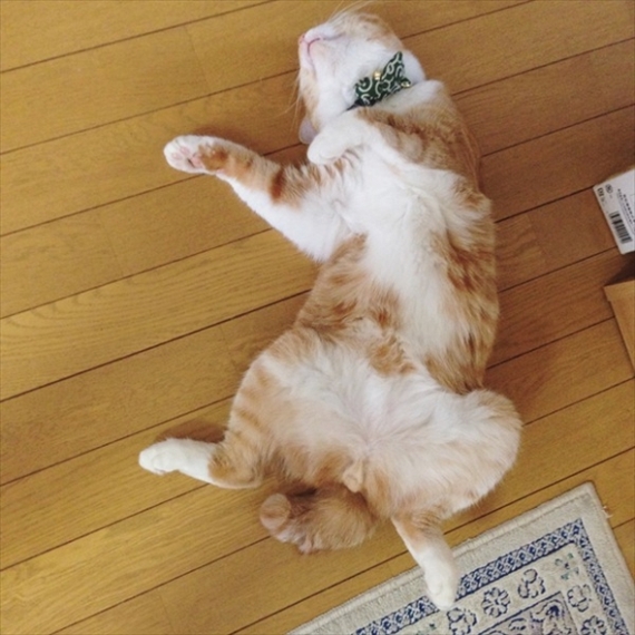 20151024-010.jpg