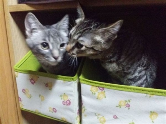 20151031-015.jpg