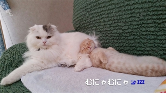 20160611-005.jpg