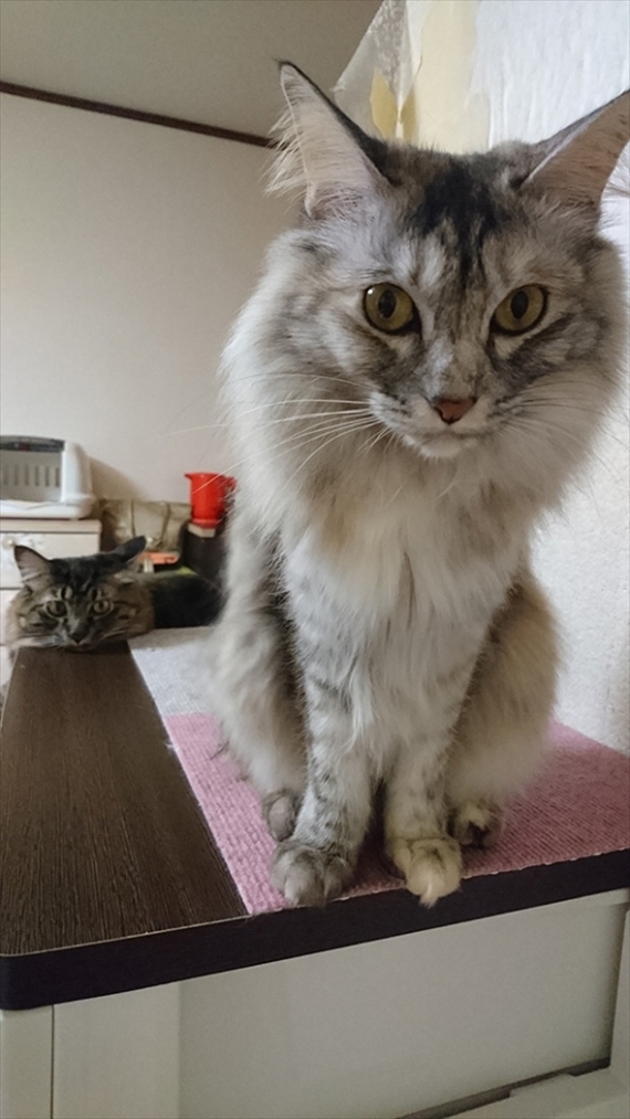 20170225-009.jpg