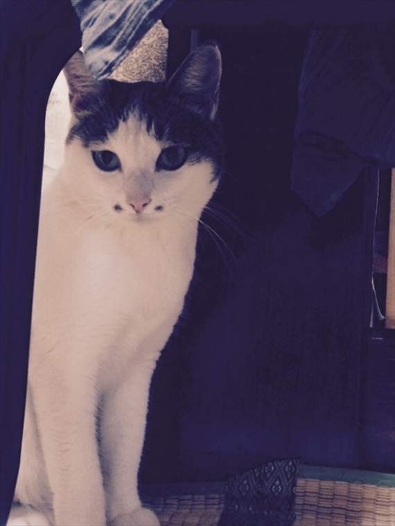 20170325-015.jpg