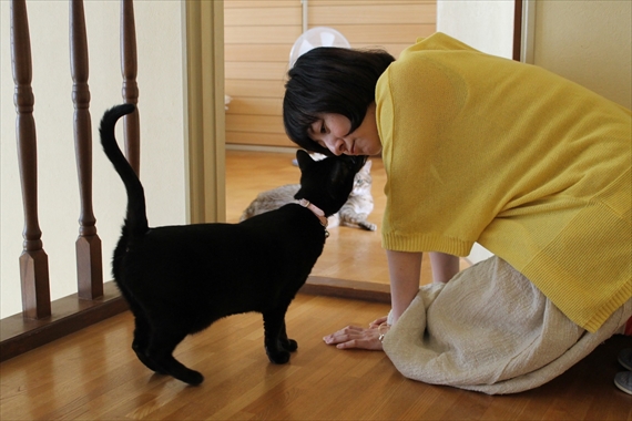 無料ダウンロード 動物 と 会話 できる 人 165501動物と会話できる人