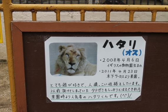 20170929-image9.jpg