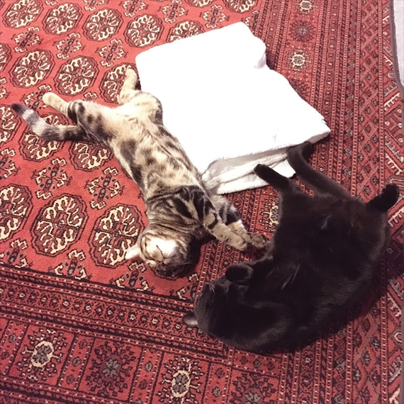20171202-022.jpg