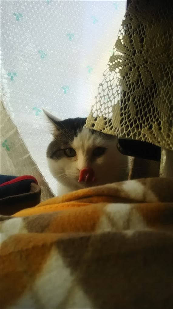 20171223-012.jpg