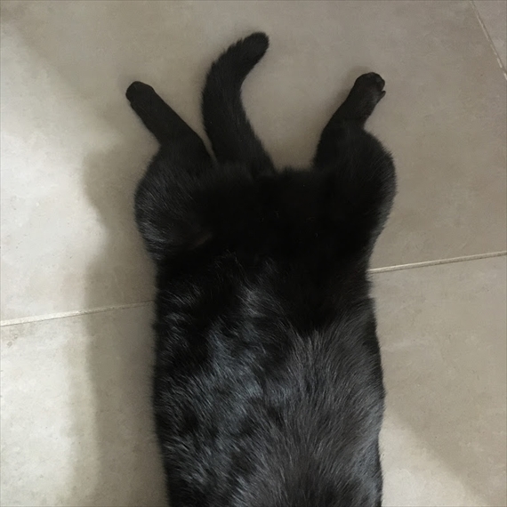 20180203-003.jpg