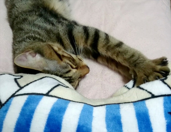 20180203-013.jpg