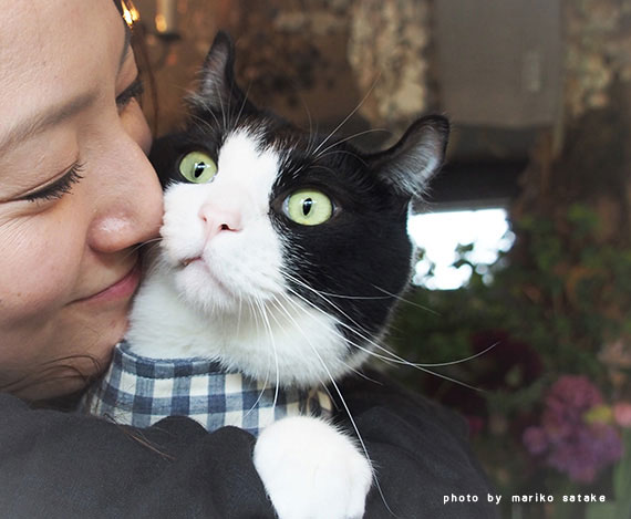 花アトリエのおっとり猫 フェリシモ猫部