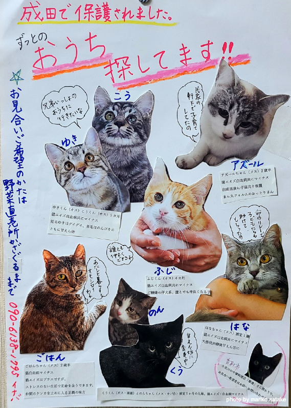 20260930-12.jpg