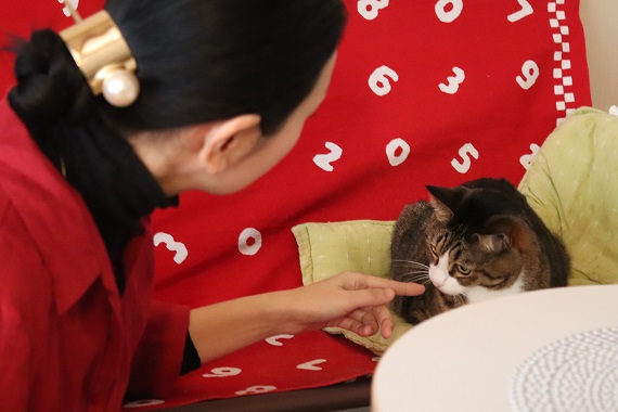アニマルコミュニケーター岩津さんに聞いてみよう 新しい絆を結びにきた猫さん フェリシモ猫部