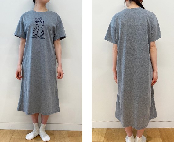 model.jpg