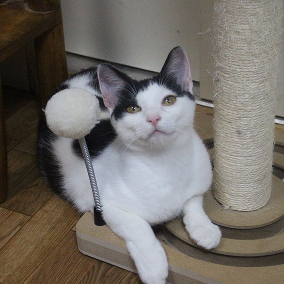 1-パンチIMG_7940.jpg