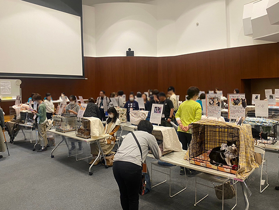 LINE_ALBUM_譲渡会20240512_240513_1.jpg
