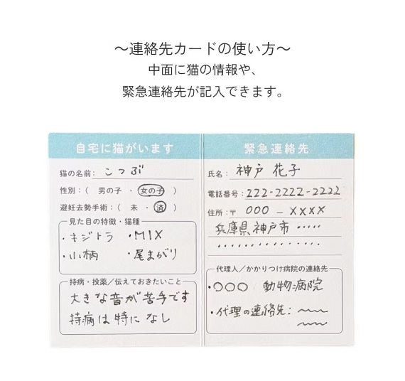 437647-productcuts-13-99999999-M.jpg