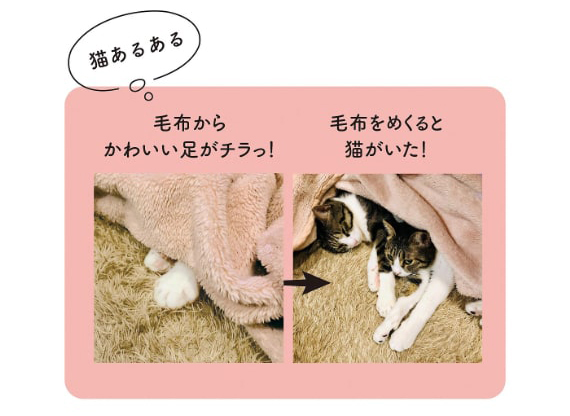 （お取り置き商品）2個セット オッドアイの猫さん＆ハチワレ茶トラ