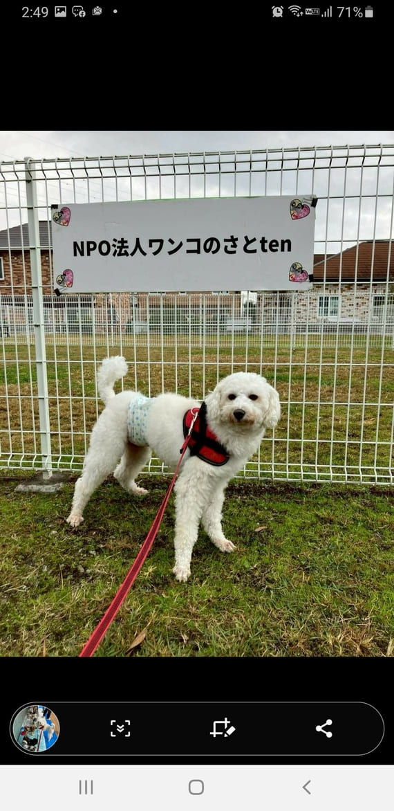 ワンコのさとten.2026.1.14 2025.11.しみず動物病院様.jpg