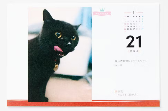 783517-productcuts-day-M_min-02.jpg