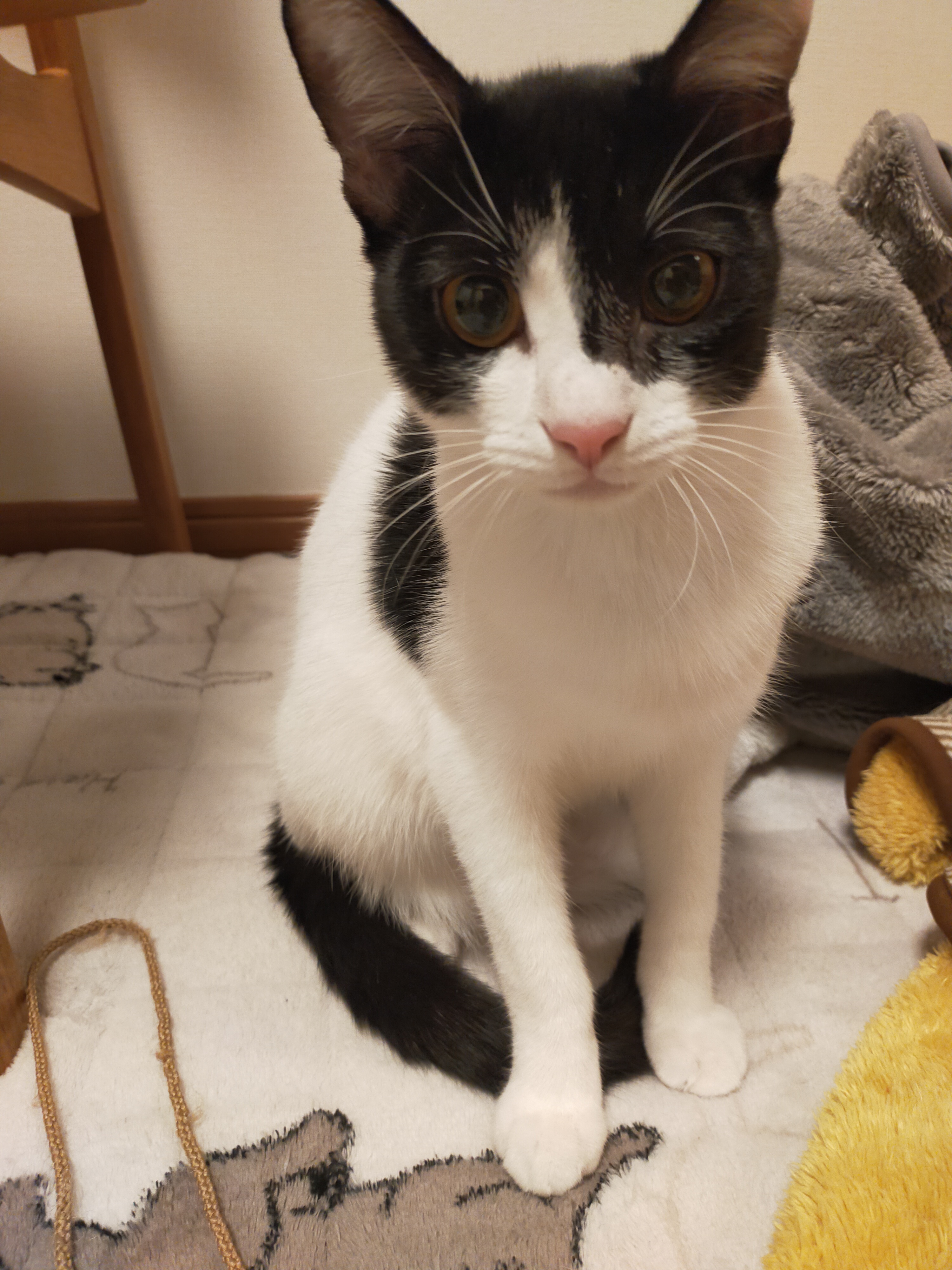 ぱん IMG20221202231434.jpg