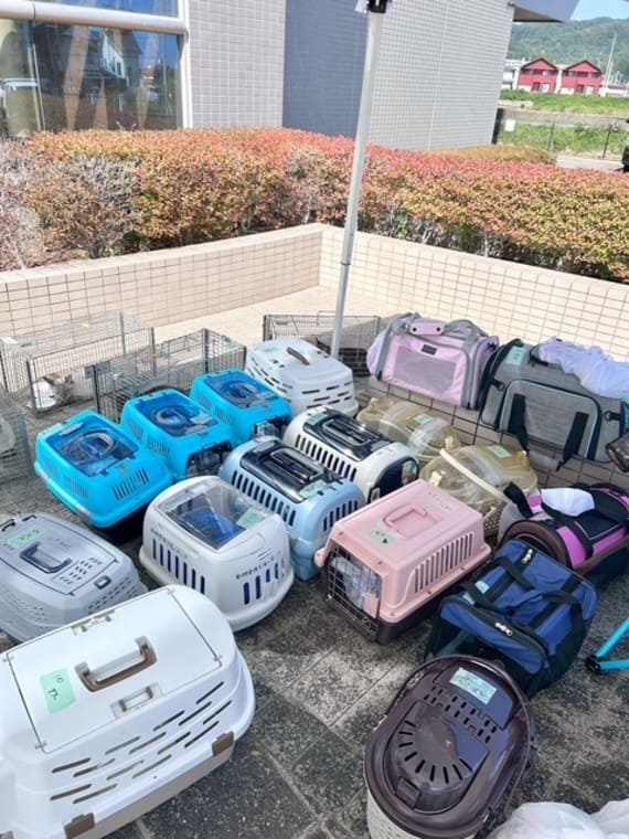 【morineko20251228-3】.jpg