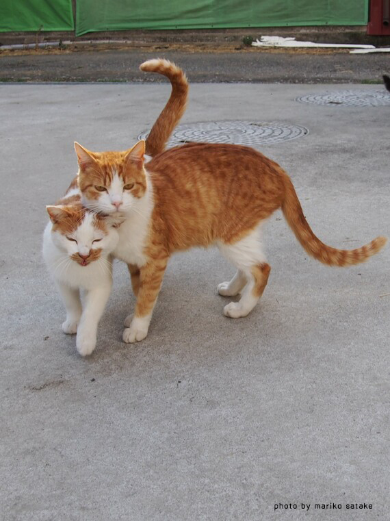 3くっつきたがりや .jpg
