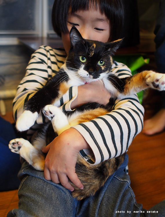 猫がいるしあわせ フェリシモ猫部