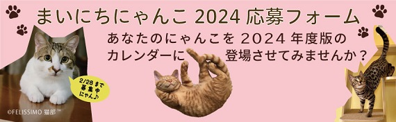 2024mainiti_banner.jpg