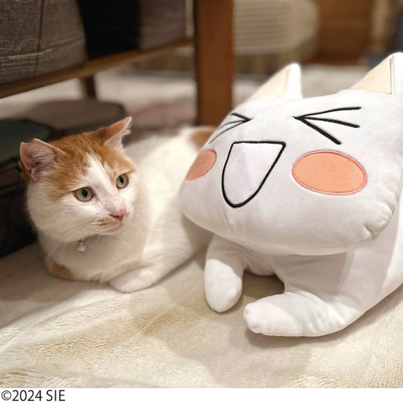 DI_c_neko.jpg