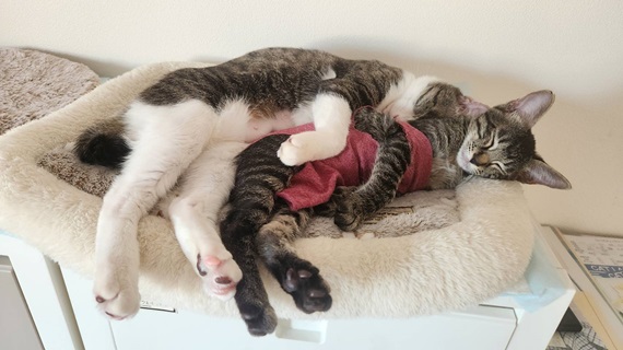 PAWS-241230-2.jpg