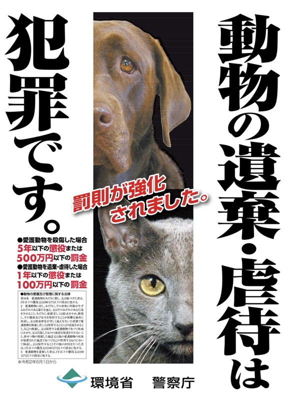 PAWS-241230-5.jpeg